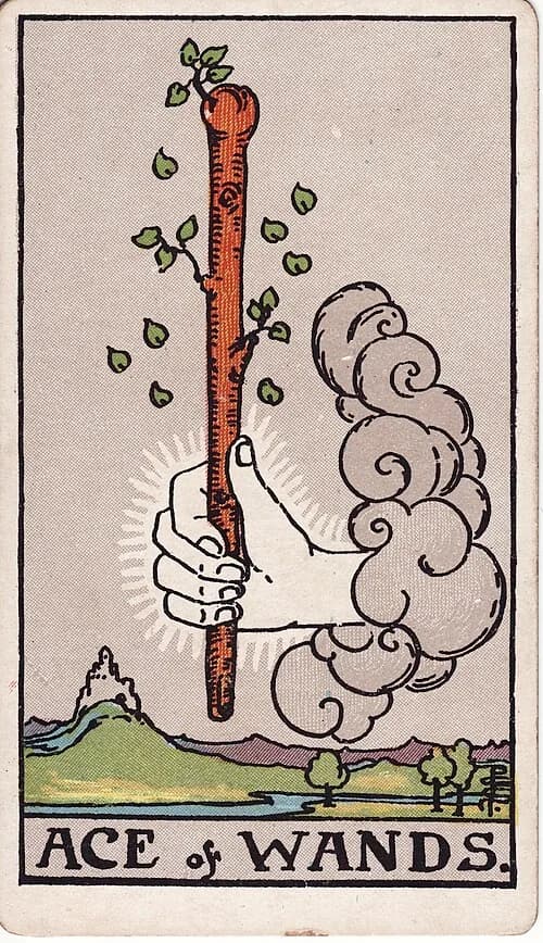 As de Bastos carta del tarot