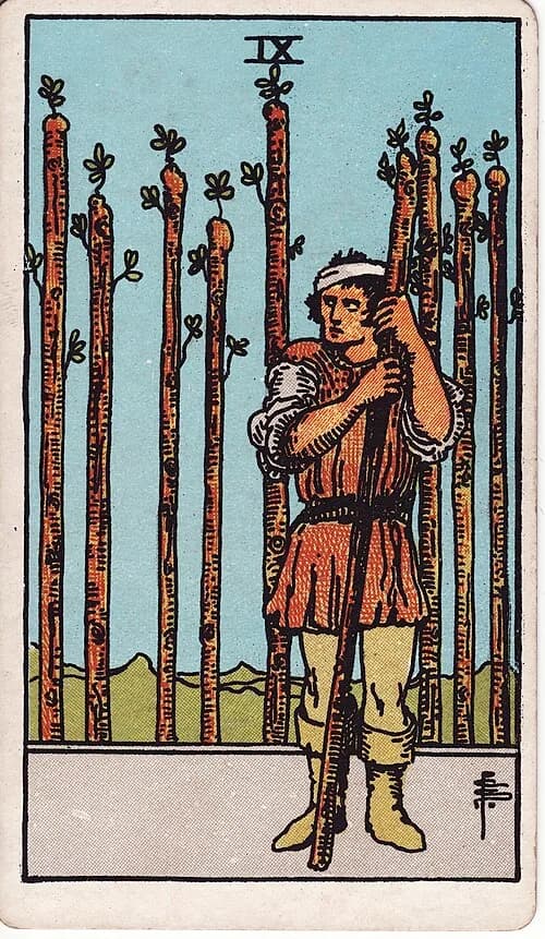 Nueve de Bastos carta del tarot