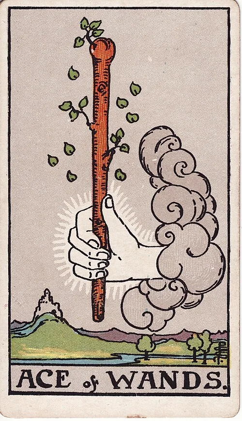 Ace of Wands tarot card