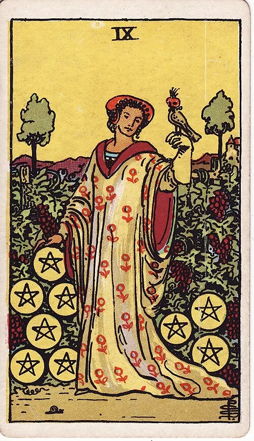 Nine of Pentacles tarot card
